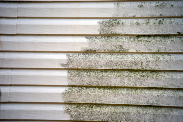 Best Yard Waste Removal  in Brandon, MS